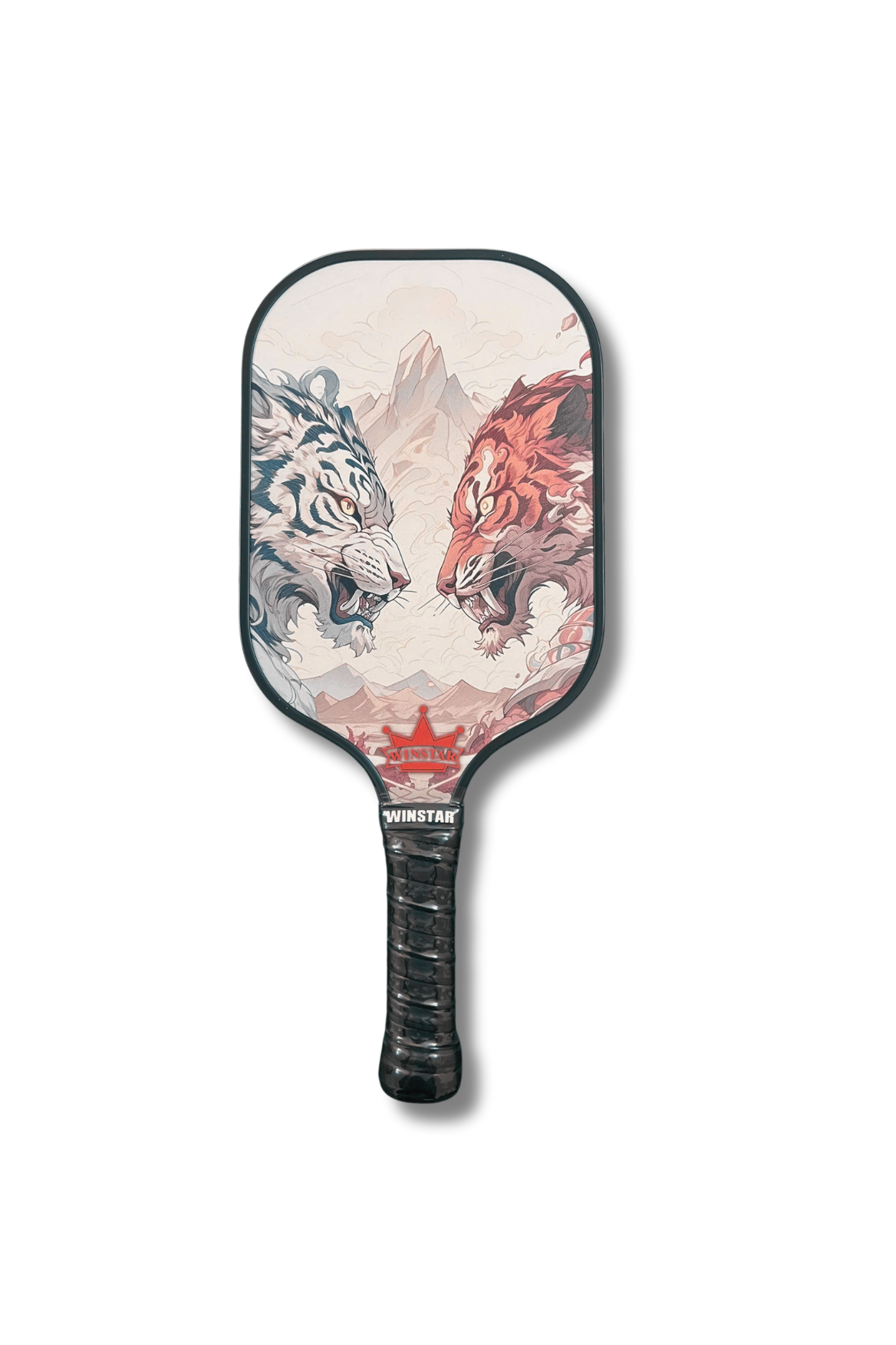 VỢT CẶP PICKLEBALL WINSTAR FIBER CARBON .